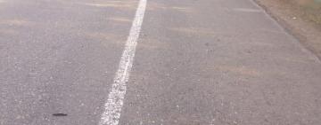 Сбил насмерть и скрылся: полицейские Одесской области задержали виновника смертельного ДТП